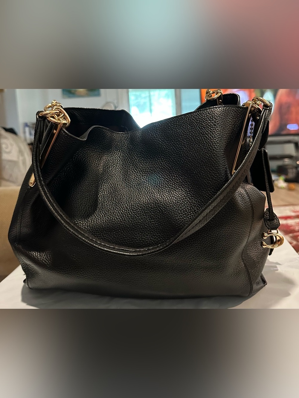 Coach Black Leather Hobo Bag with Gold Hardware - Women